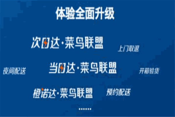 菜鸟联盟