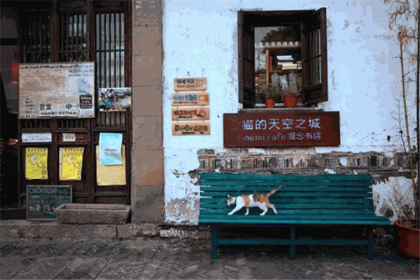 猫的天空之城概念书店
