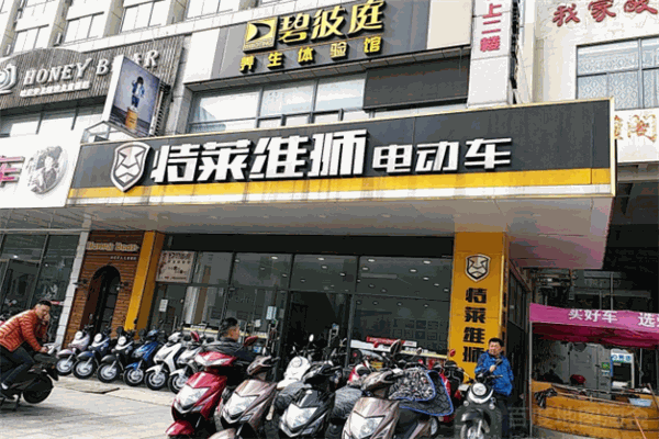 特莱维狮电动车
