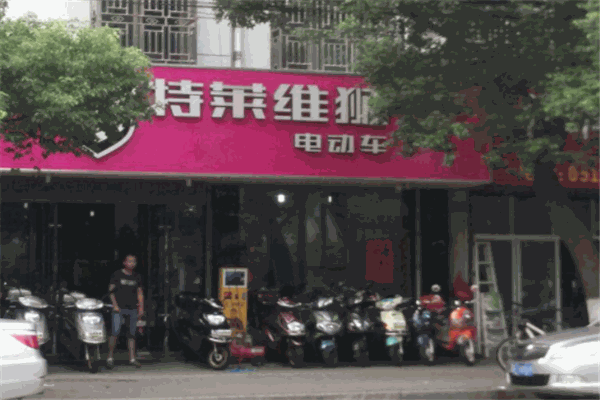 特莱维狮电动车