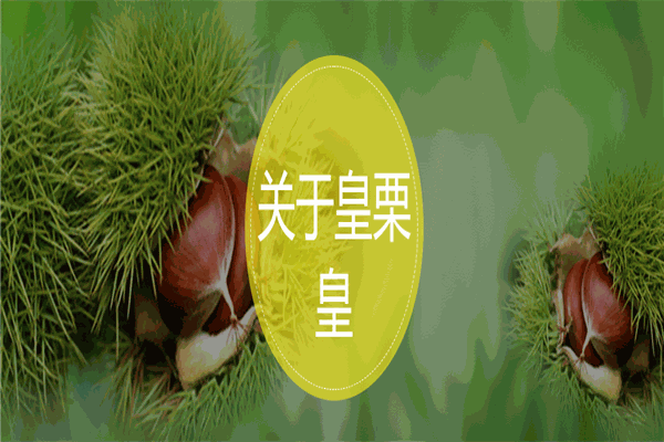 皇栗煌小吃