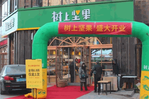 树上坚果