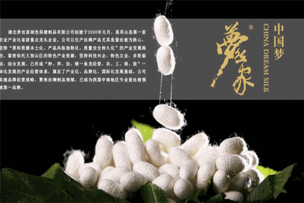 梦丝家蚕丝被