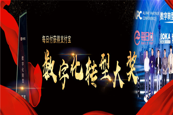每日付平台