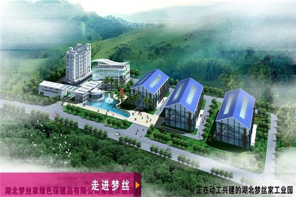 梦丝家蚕丝被