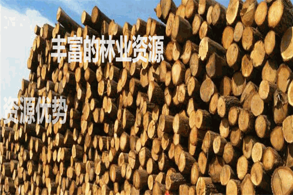 美来地板