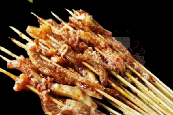 小肉串的日记