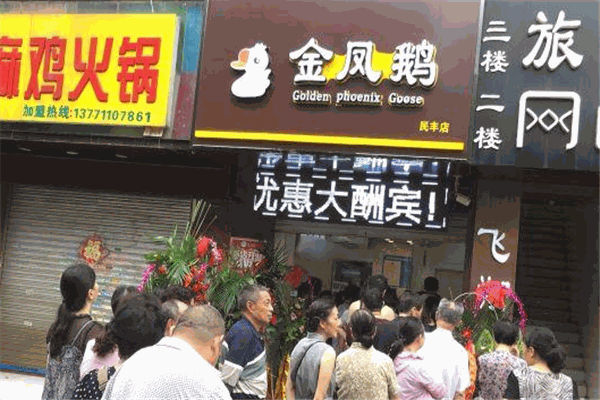 金凤鹅