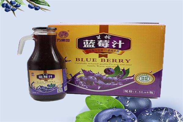 万果园加盟