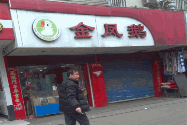 金凤鹅