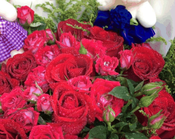 花冠鲜花