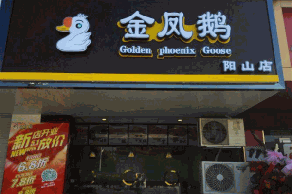 金凤鹅