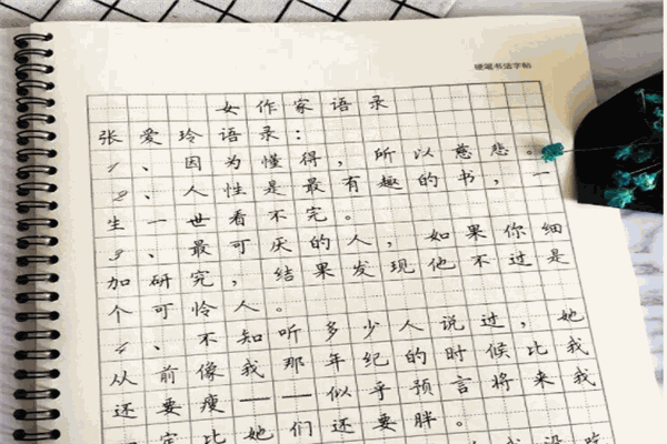 书城练字