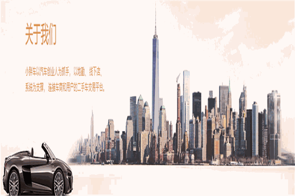 小胖车二手车