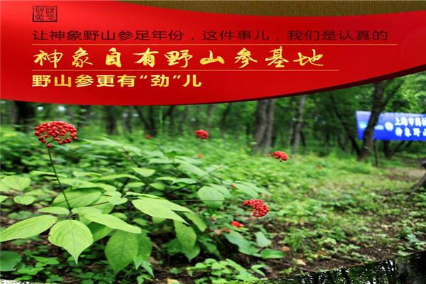 神象保健品加盟