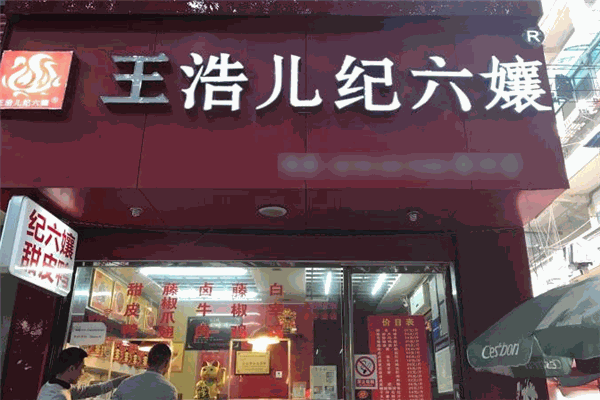 王浩儿纪六嬢
