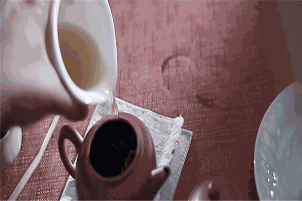 桔扬茶业