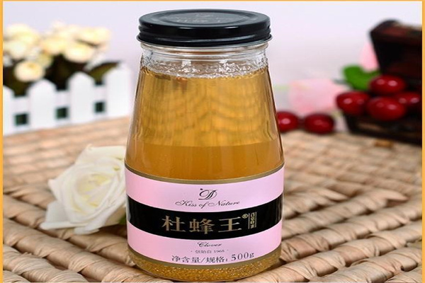 杜蜂王养生加盟