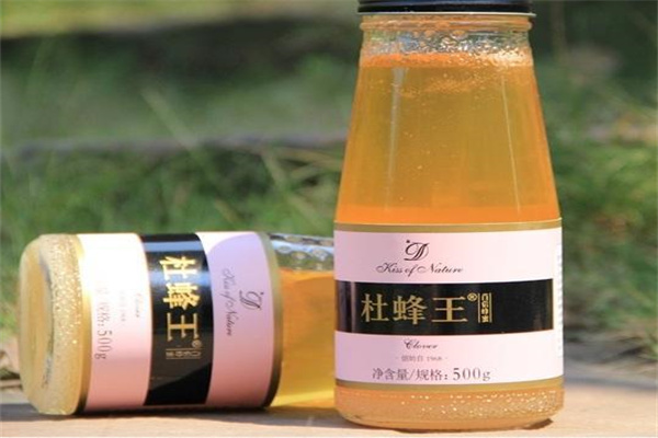 杜蜂王养生加盟