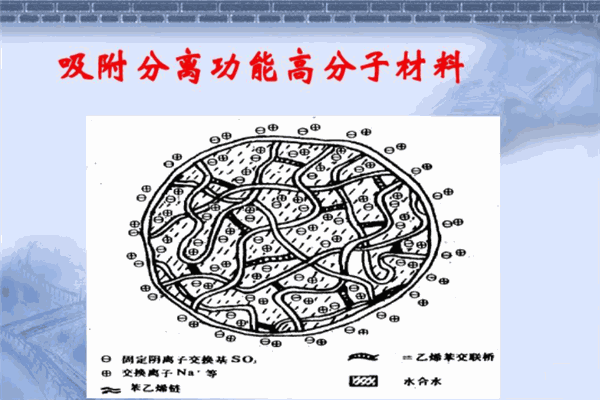 蓝赛