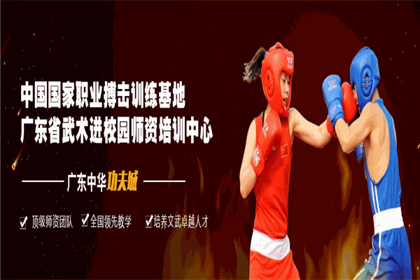 华武功夫