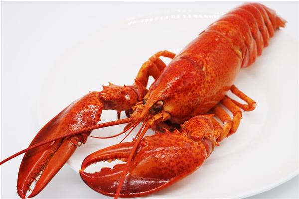 大唐食品