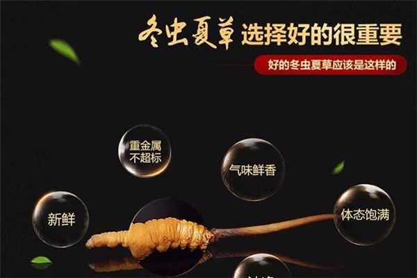东阳光鲜草加盟