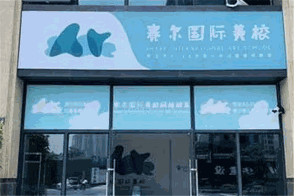 赛尔教育