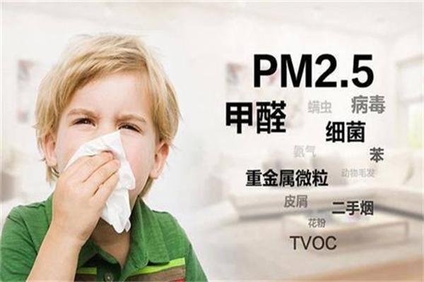 美尔佳除甲醛加盟