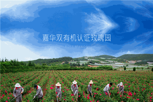 嘉华食品