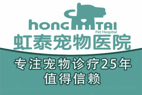 虹泰宠物医院