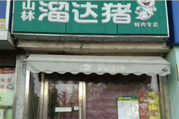 山林溜达猪