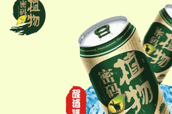 植物密码醒酒饮料