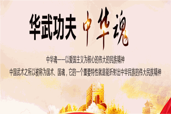 华武功夫