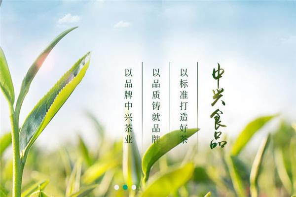 中兴食品