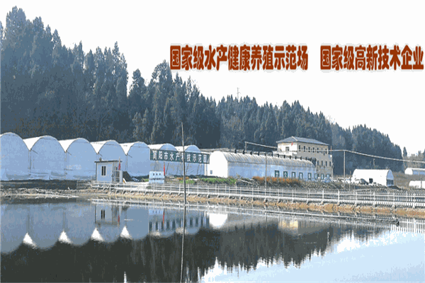 大众养殖