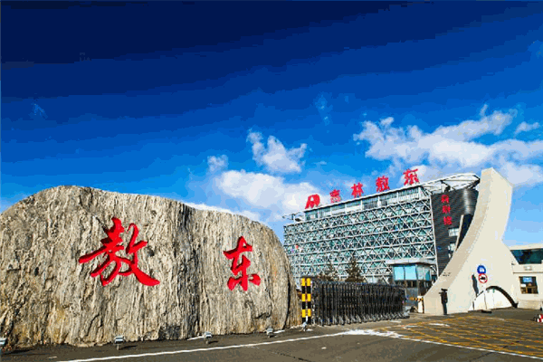 敖东大药房