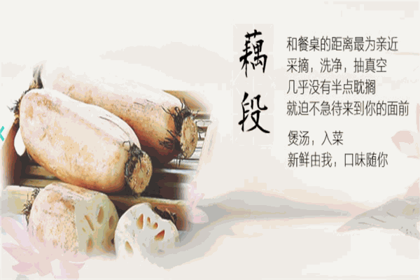 嘉珍生态农业