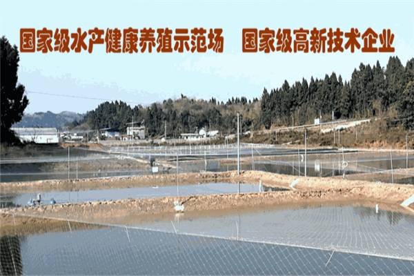 大众养殖