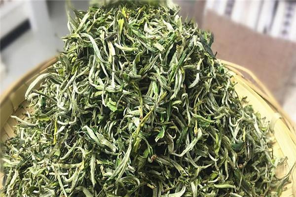 卧龙绿茶