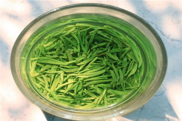 卧龙绿茶