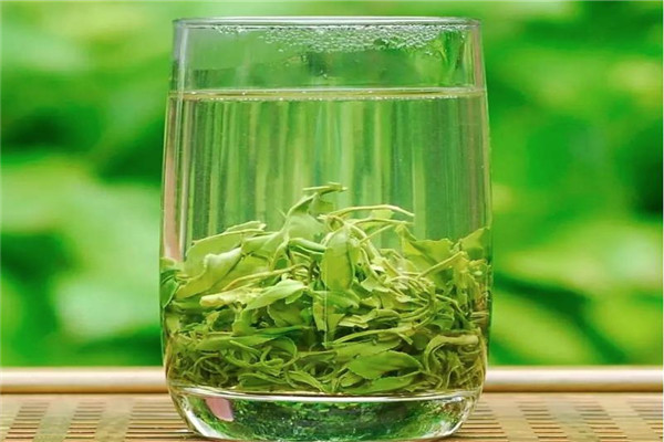 卧龙绿茶