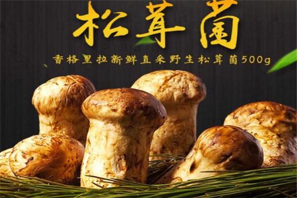 保信食品