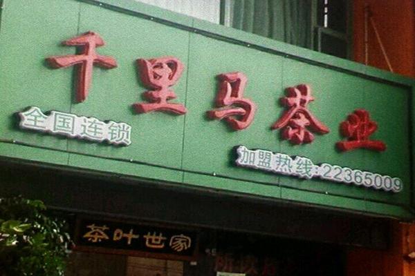 千里马茶叶