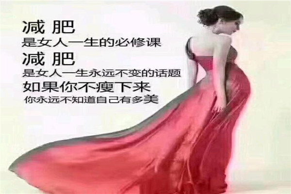 张氏减肥加盟