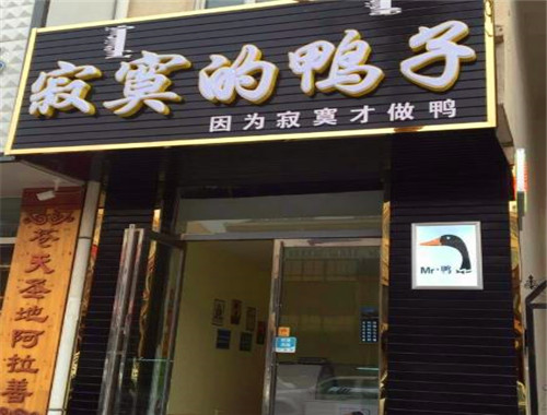 寂寞的鸭子