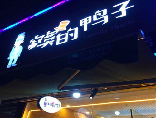 寂寞的鸭子