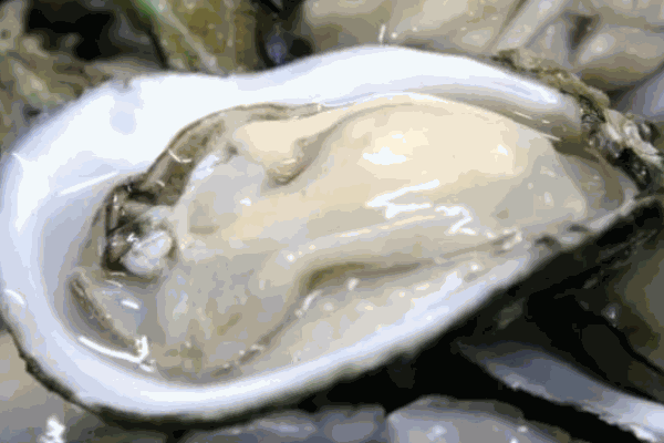 吓土伯生蚝