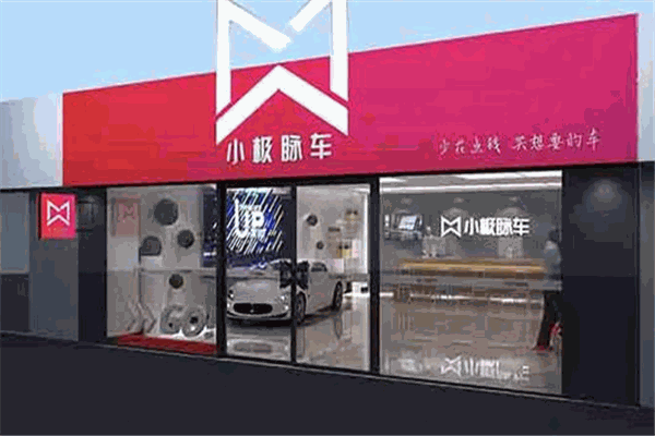 小极脉车