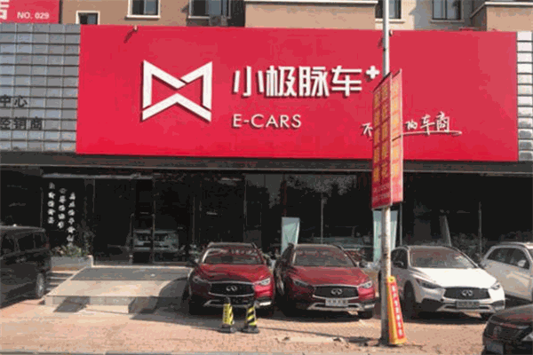小极脉车